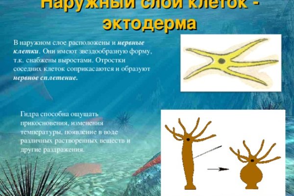 Кракен ссылки krakenwebs org