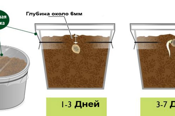 Кракен рабочая ссылка на сайт